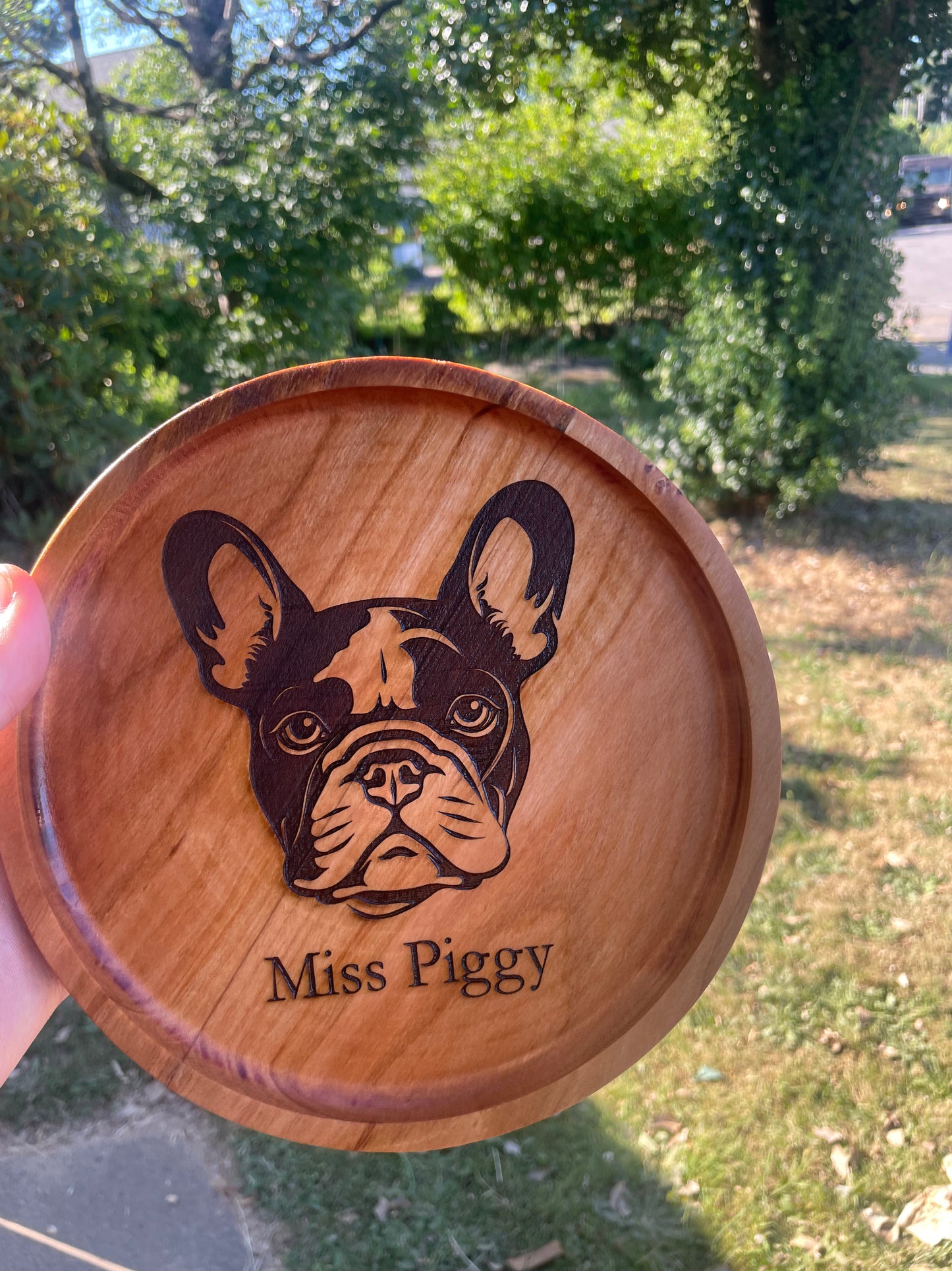 Dog Catch All Tray