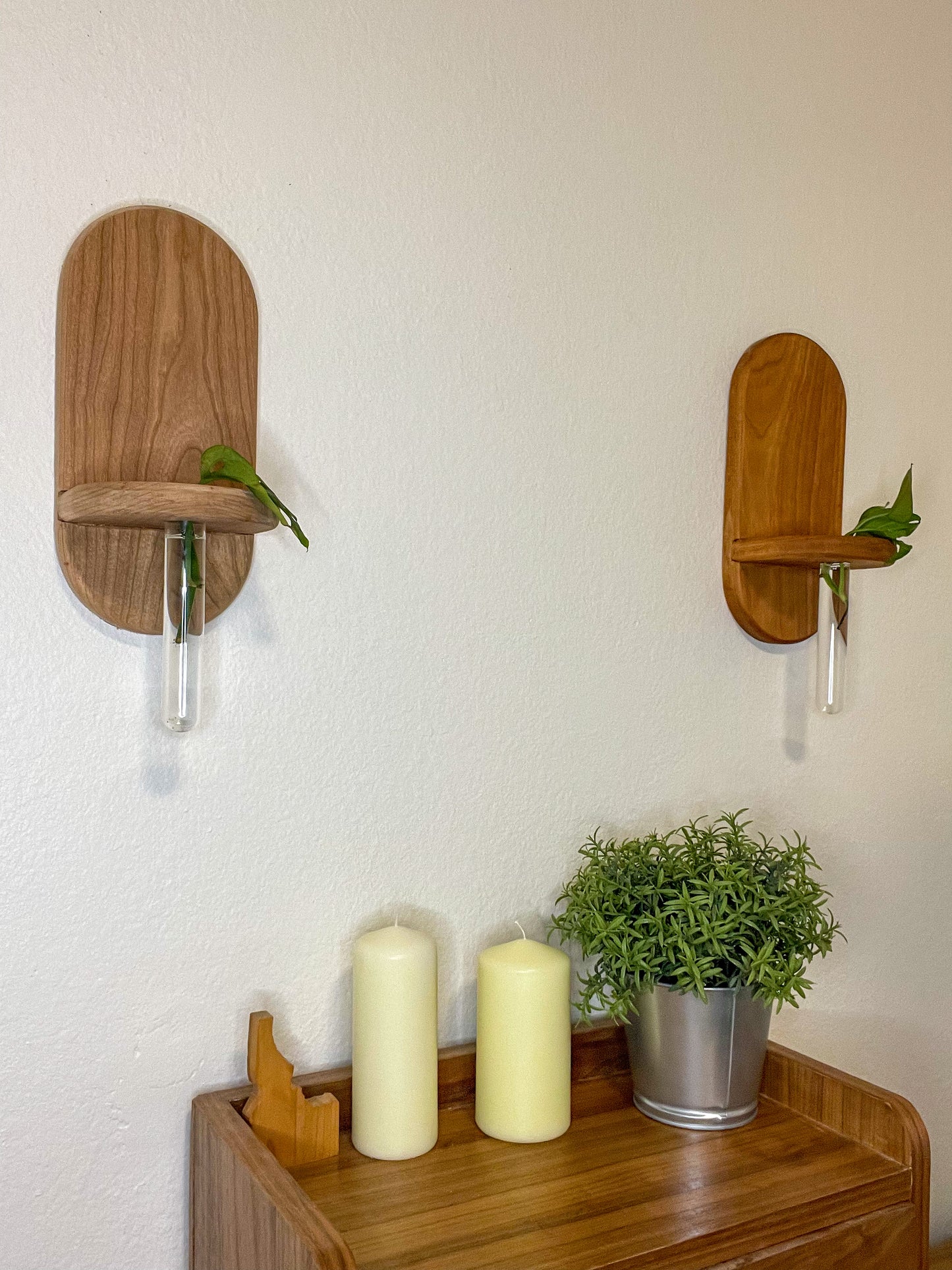 Wall Propagation Station