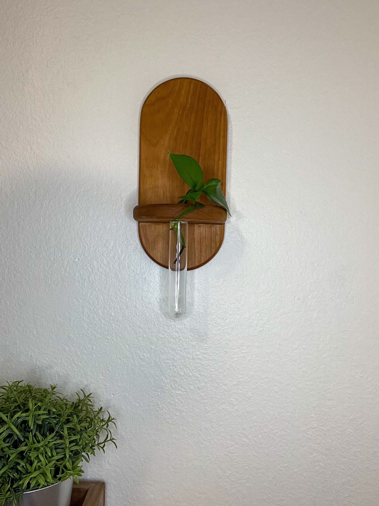 Wall Propagation Station