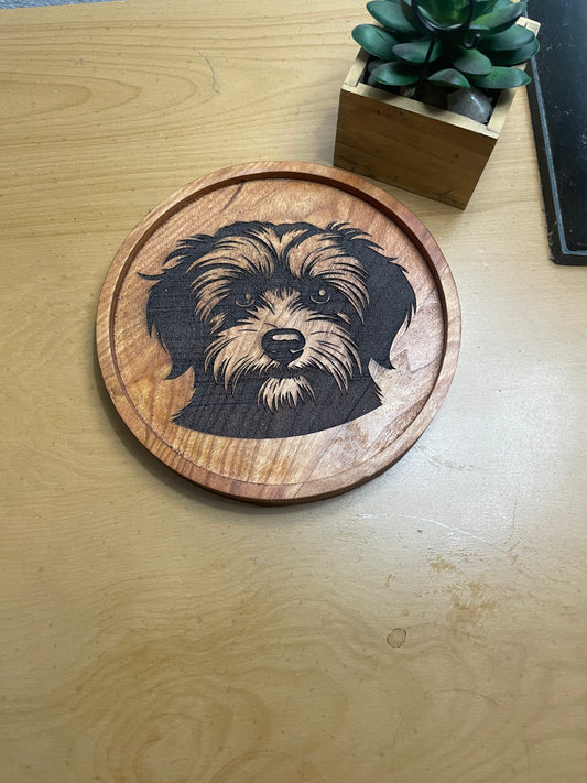 Dog Catch All Tray