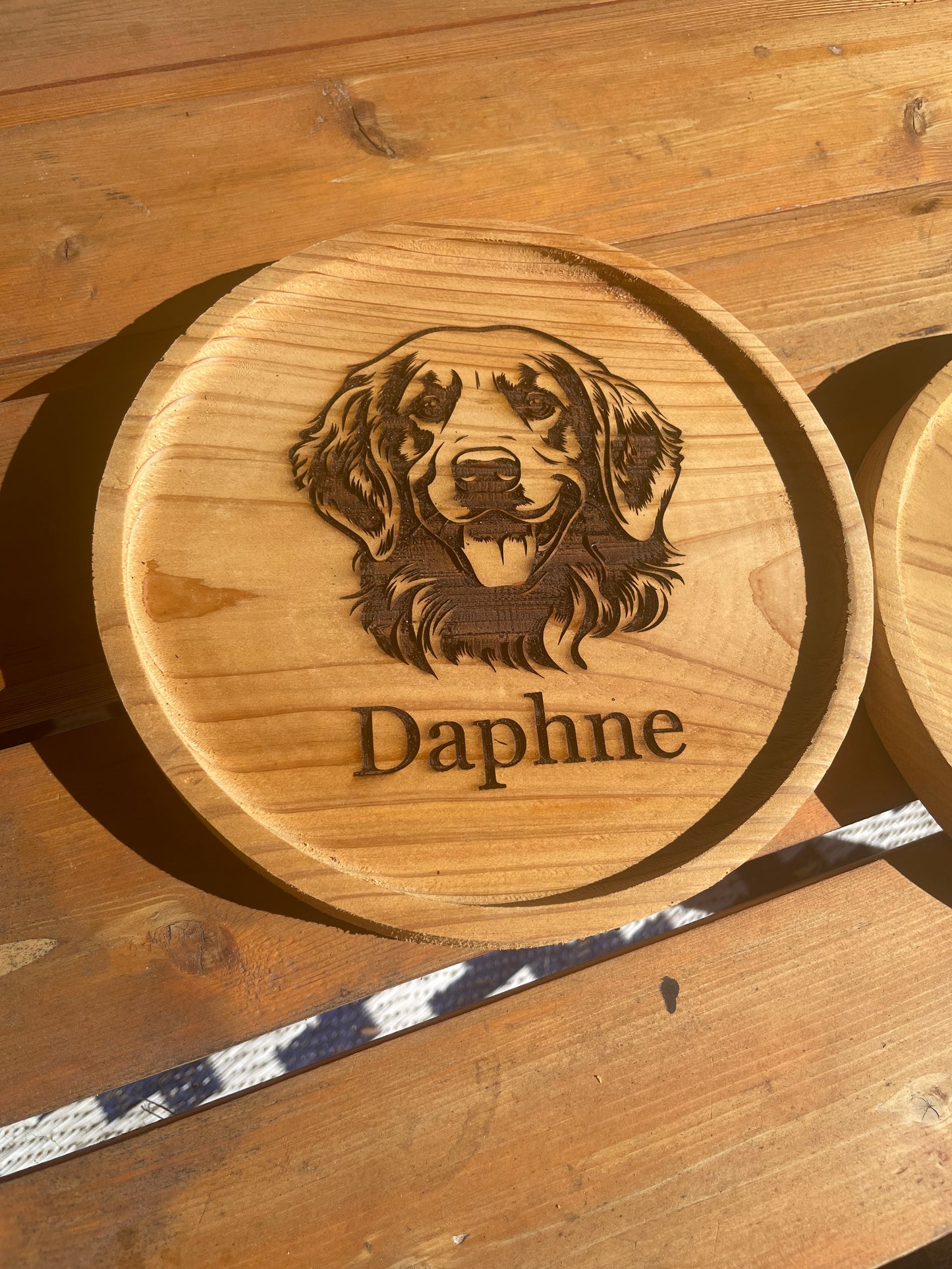 Dog Catch All Tray