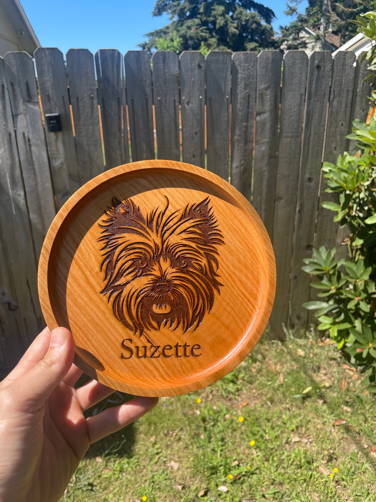 Dog Catch All Tray